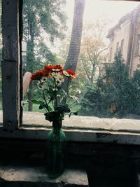 Potted plants on the wall