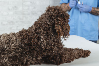 Close-up of woman with dog