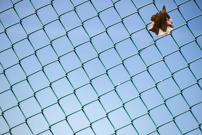 Iron chain link fence background against sky, one autumn leaf