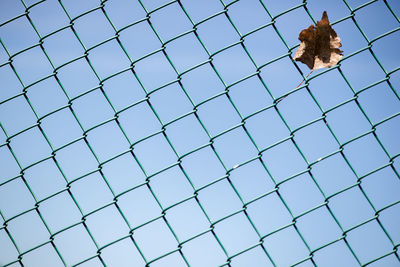 Iron chain link fence background against sky, one autumn leaf