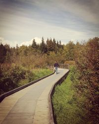 Rear view of man walking on footbridge amidst trees against sky