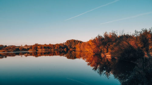 Reflection of trees in lake against blue sky