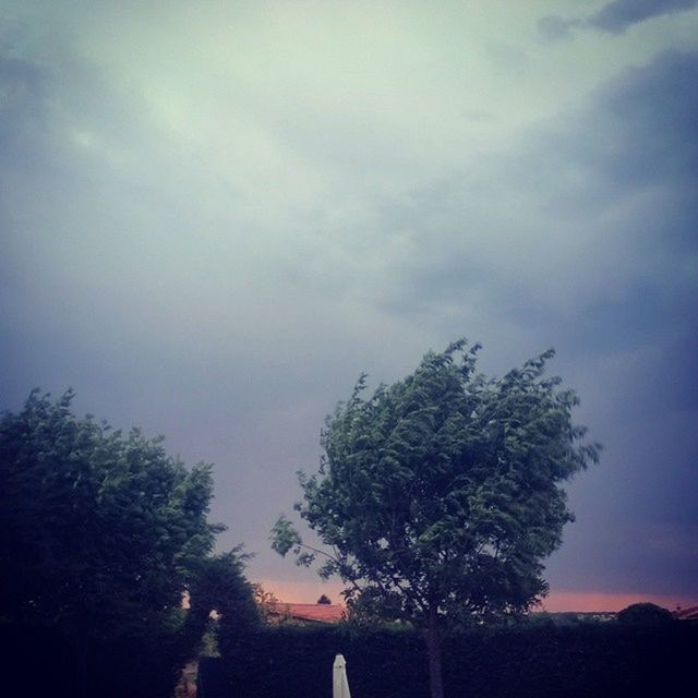 tree, sky, low angle view, cloud - sky, silhouette, cloudy, growth, nature, cloud, beauty in nature, tranquility, dusk, scenics, outdoors, tranquil scene, built structure, no people, high section, branch, building exterior