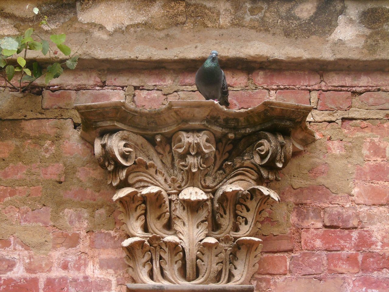 art and craft, wall - building feature, architecture, representation, animal, day, no people, animal themes, brick, built structure, brick wall, wall, bird, animal wildlife, craft, sculpture, creativity, vertebrate, close-up, animals in the wild, outdoors, carving, floral pattern