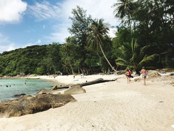 People at beach against trees