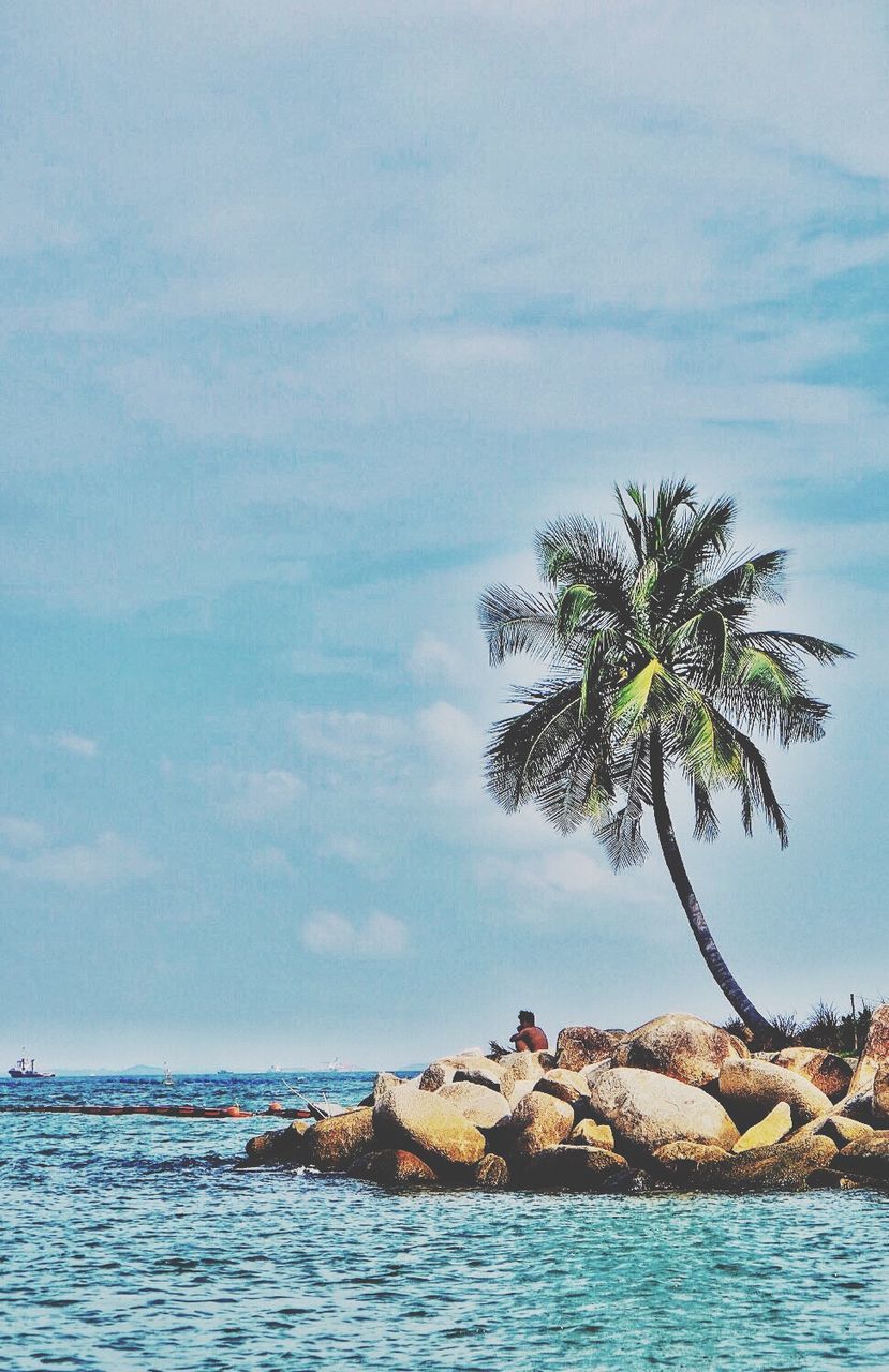 sea, water, sky, tranquil scene, tranquility, tree, waterfront, scenics, palm tree, beauty in nature, horizon over water, nature, cloud - sky, idyllic, day, cloud, rippled, beach, outdoors, blue