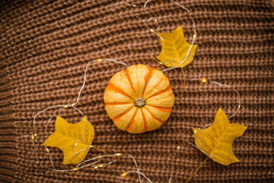 High angle view of yellow leaf on wooden floor