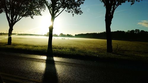 Silhouette trees on field against sky during sunset