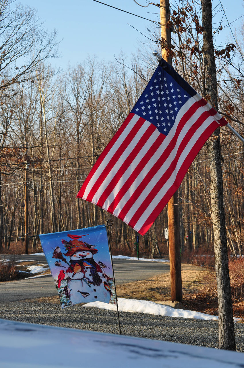 SCENIC VIEW OF FLAG AGAINST SKY