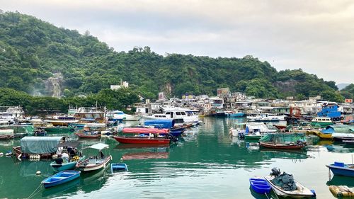 Boats moored at harbor against sky