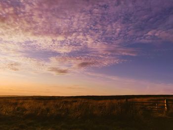 Scenic view of field against sky during sunset