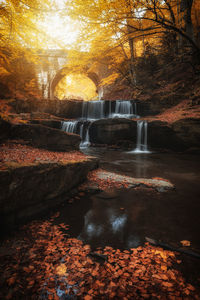 Waterfall in forest during autumn