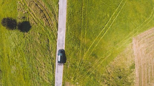 High angle view of crops on field