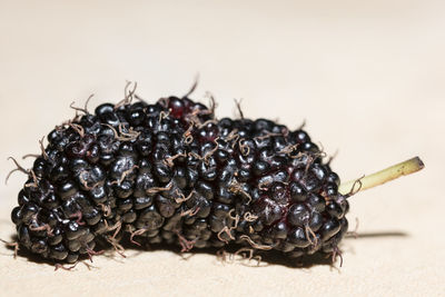 Close-up of blackberry on table