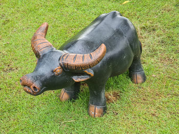 Cow standing on grassy field