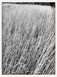 Full frame shot of water