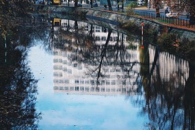 Reflection of trees on river