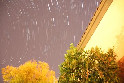 Low angle view of trees against sky