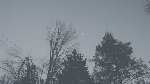 Low angle view of trees against sky