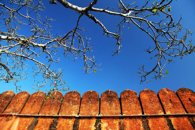 Low angle view of trees against clear blue sky