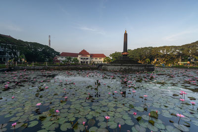 View of water lilies in city against sky