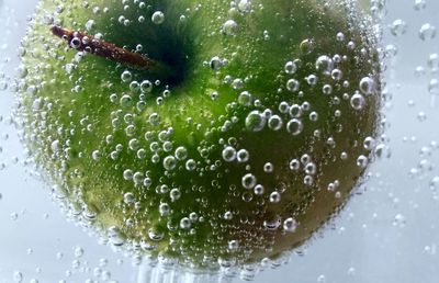 Close-up of an apple in water