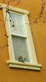 Low angle view of window on house