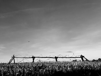 People working on field against sky