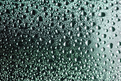 Full frame shot of water drops on glass