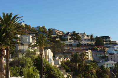 Mountain side mansions, ocean view, palm trees against blue sky 