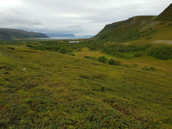 Scenic view of landscape against sky