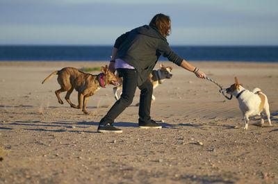 Woman playing with dogs at beach against blue sky