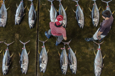 Group of people standing on fish