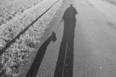 High angle view of pet owner with dog shadow on road