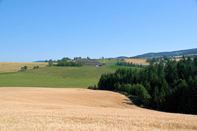 Scenic view of field against clear sky