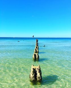 Scenic view of sea against clear sky