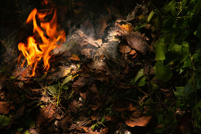 Close-up of bonfire , disposal of burnable waste material .