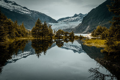 Mendenhall glacier, alsaka. gletscher. glacier, juneau, snow