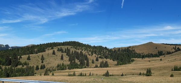 Panoramic view of landscape against sky