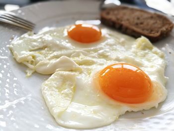 Close-up of breakfast served on plate