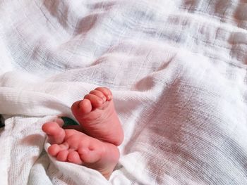 Low section of baby feet on hand