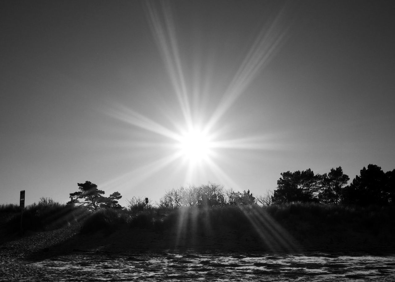 SCENIC VIEW OF BRIGHT SUN SHINING OVER TREES