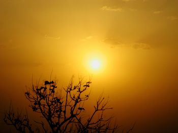 Silhouette tree against yellow sky during sunset