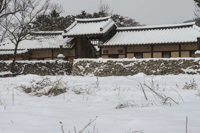 Houses by trees during winter