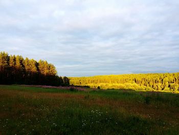 Scenic view of field against sky during autumn