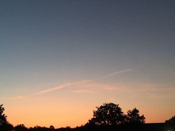 Low angle view of silhouette trees against sky during sunset