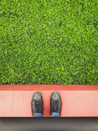 Low section of person standing on grass