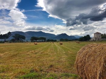 Scenic view of field against sky