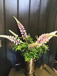 Close-up of potted plant in glass vase