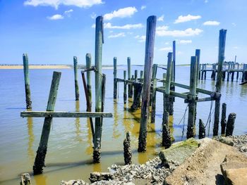 Wasted and decrepit docks in delaware 